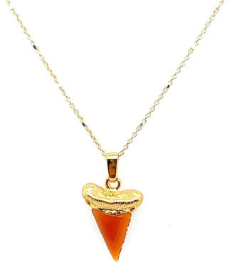 925 Shark's Tooth Gemstone Pendant w/Chain