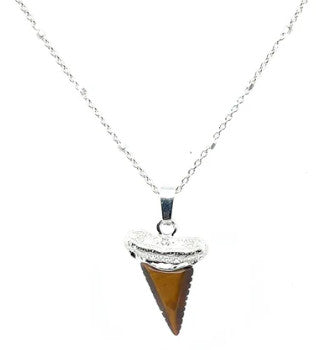 925 Shark's Tooth Gemstone Pendant w/Chain