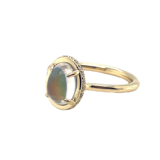 14K "Jen" Hidden Halo Moonstone Ring