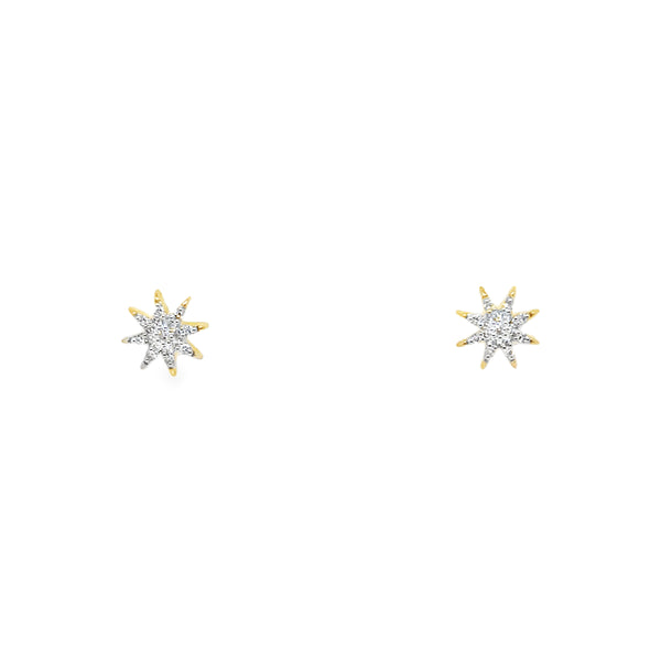 210000031506