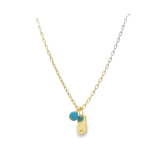 Turquoise Dainty Dog Tag Charm Necklace