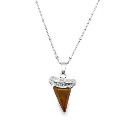 925 Shark's Tooth Gemstone Pendant w/Chain