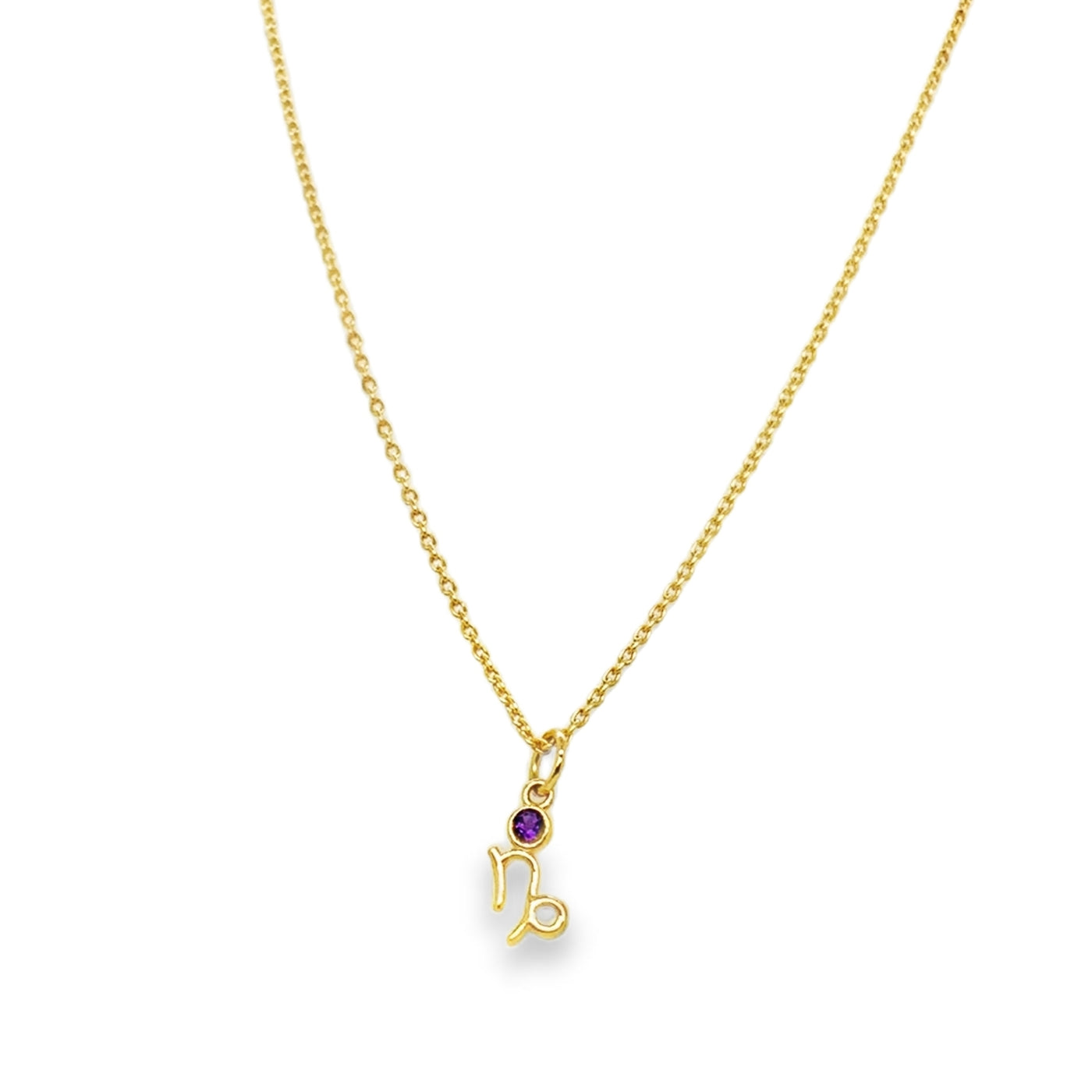 14KY Gemstone "Zodiac" Necklace