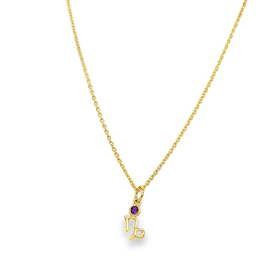 14KY Gemstone "Zodiac" Necklace