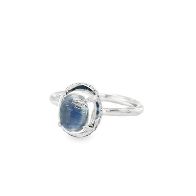 14K "Jen" Hidden Halo Moonstone Ring